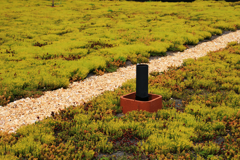 Green Roof Installation - R. Baker & Son Environmental Services